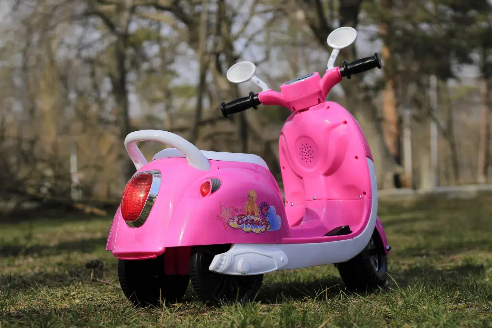 Акумулаторен мотор Princess, 20W, 6V4.5Ah - Image 13