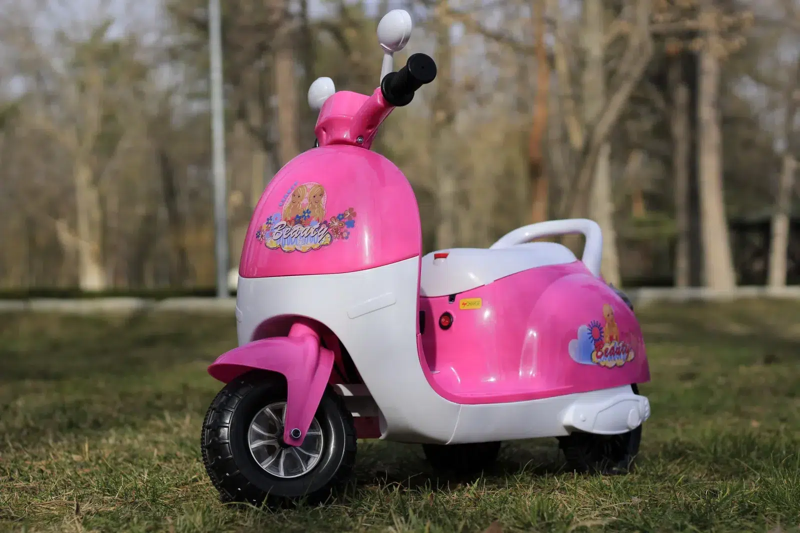Акумулаторен мотор Princess, 20W, 6V4.5Ah - Image 17