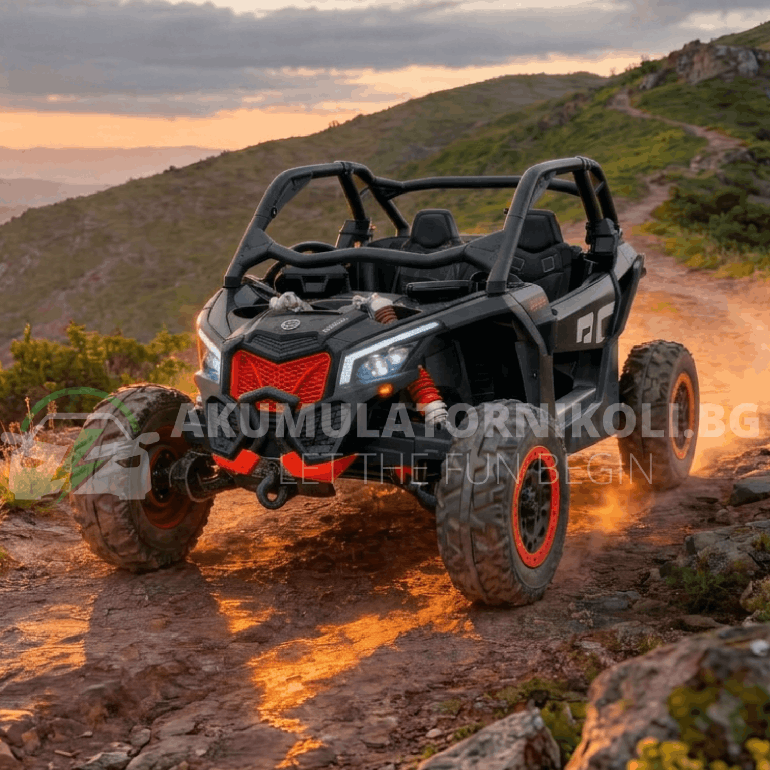 Can am Maverick (2)